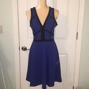 Nicole Miller Fit and Flare Dress